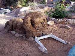 Project Lion 3 
